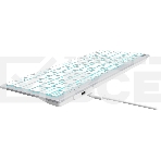 Клавиатура A4Tech Fstyler FX61 проводная, USB, белый/синий, фото8