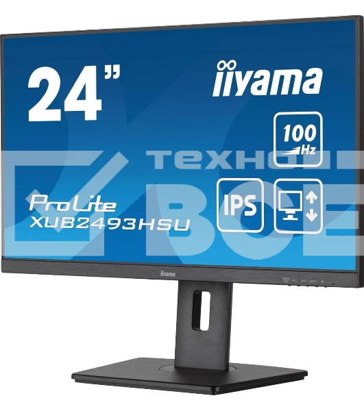 Монитор 23.8' Iiyama ProLite XUB2493HSU-B7 IPS 1920x1080, 100 Гц, 1 мс, 16:9, 300 кд/м², HDMI 1.4, DP 1.2, 3.5 Jack, USB Hub (2x USB 2.0), динамики (2x2 Вт), Adaptive-Sync, черный