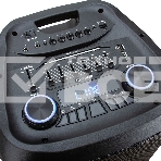 Колонка Eltronic 12
