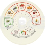 Электросушилка для овощей и фруктов Renova DVN31-500/5 (B), фото3