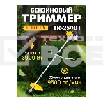 Бензиновый триммер Eurolux TR-2500T 70/2/19, фото9