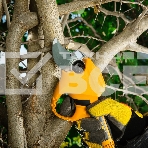 Секатор аккумуляторный Denzel CP-30, 18В Li-Ion, фото2