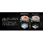 Телевизор QLED Skyworth 55' 55X66H черный/серый Mini-LED 4K Ultra HD 60Hz Google TV 2GB/32GB, фото15