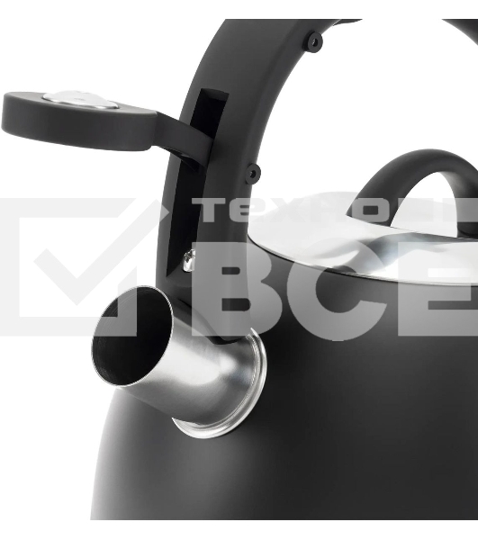 Чайник для плиты металлический Rondell Walzer RDS-1827 2.7 л. черный