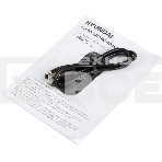 Портативная колонка Hyundai H-PAC610, 20Вт, темно-синий, фото4