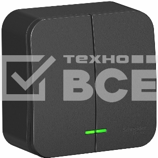 Выключатель 2-кл. ОП Blanca 10А IP20 (сх. 5) 250В с подсветкой с изолир. пластиной антрацит SchE BLNVA105116