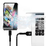 Кабель Defender F167, USB 2.0 (AM) - Type C, 1метр, 2.4А, нейлоновая оплетка, чёрный., фото2