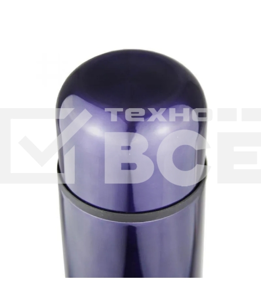 Термос Biostal (0,75 литра), фиолетовый