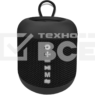 Портативная колонка SOUNDMAX SM-PS5011B черный