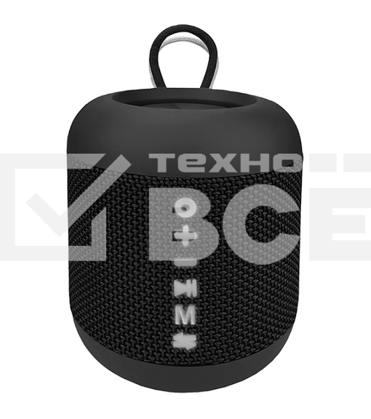 Портативная колонка SOUNDMAX SM-PS5011B черный