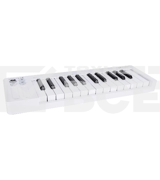 Клавиатура MIDI [231511] Arturia [MicroLab 3 White] 25 клавиш, чувствительных к скорости нажатия, сенсорные полосы pitch и modulation, режим игры аккордами, разъем для подключения педали, type-c, ПО: Analog Lab Intro, Ableton Live Lite. Цвет - белый.