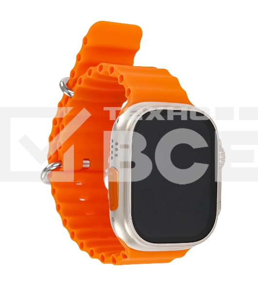 Умные часы BOROFONE (6941991100284) BD3 Gold