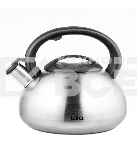 Чайник для плиты LARA LR00-12 3 л