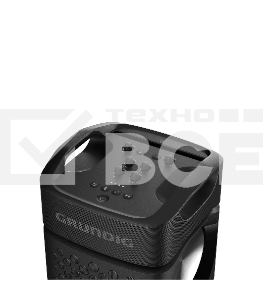Портативная аудиосистема Grundig PartyHit Max