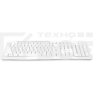 Клавиатура Oklick 305M (1875227) проводная, USB, белый