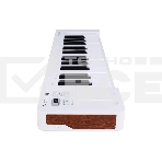 Клавиатура MIDI [231511] Arturia [MicroLab 3 White] 25 клавиш, чувствительных к скорости нажатия, сенсорные полосы pitch и modulation, режим игры аккордами, разъем для подключения педали, type-c, ПО: Analog Lab Intro, Ableton Live Lite. Цвет - белый., фото5