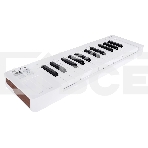 Клавиатура MIDI [231511] Arturia [MicroLab 3 White] 25 клавиш, чувствительных к скорости нажатия, сенсорные полосы pitch и modulation, режим игры аккордами, разъем для подключения педали, type-c, ПО: Analog Lab Intro, Ableton Live Lite. Цвет - белый., фото4