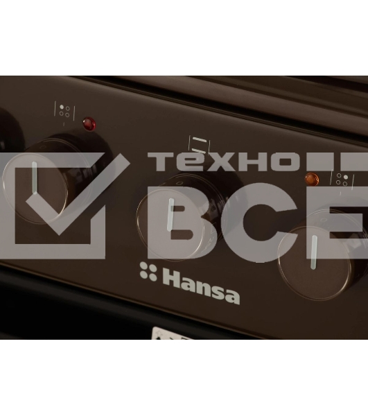Плита электрическая Hansa FCEB53000 коричневый, конфорок 4 шт, духовка 69 л, 50 см x 85 см x 60 см