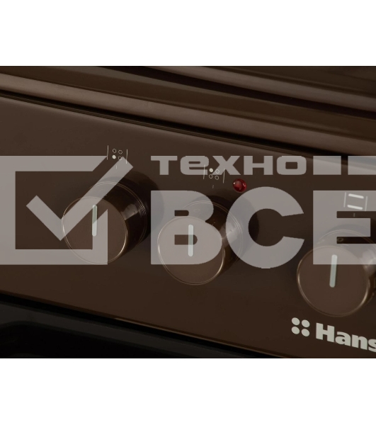 Плита электрическая Hansa FCEB53000 коричневый, конфорок 4 шт, духовка 69 л, 50 см x 85 см x 60 см