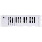 Клавиатура MIDI [231511] Arturia [MicroLab 3 White] 25 клавиш, чувствительных к скорости нажатия, сенсорные полосы pitch и modulation, режим игры аккордами, разъем для подключения педали, type-c, ПО: Analog Lab Intro, Ableton Live Lite. Цвет - белый., фото 1