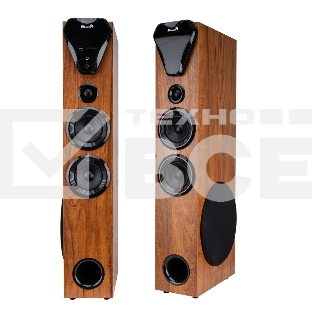 Колонка Eltronic 10