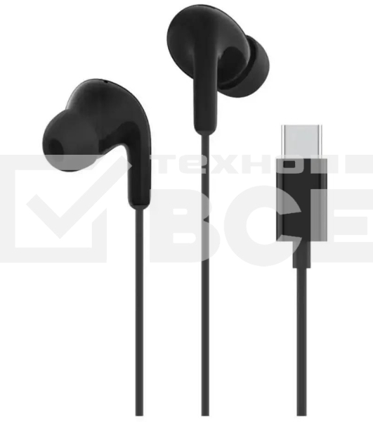 Наушники Xiaomi Type-C Earphones черный M2413E1