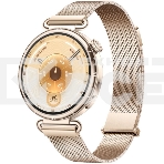 Умные часы Huawei GT 6 KSU-B19 55020FVW золотой, фото 1