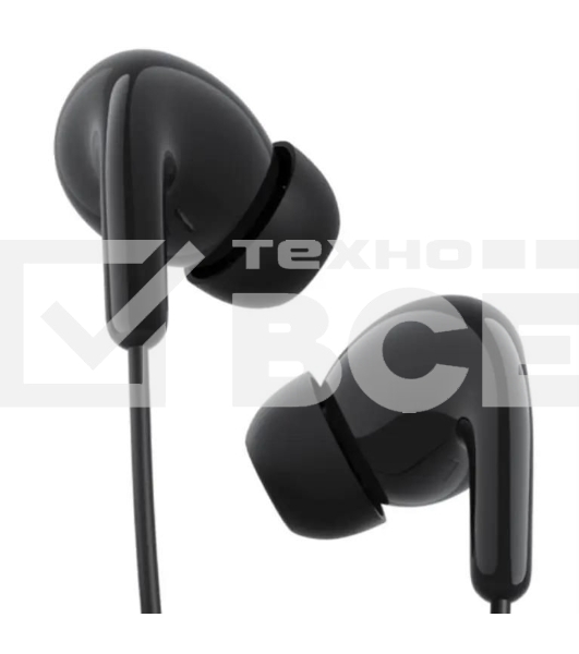 Наушники Xiaomi Type-C Earphones черный M2413E1