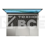 Ноутбук ASUS UX5304VA-NQ396 серый 13.3
