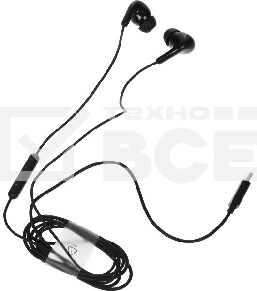 Наушники Xiaomi Type-C Earphones черный M2413E1
