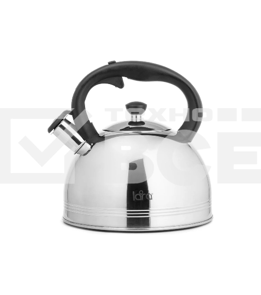 Чайник для плиты металлический LARA LR00-64, (матовый) 4 л, автоподъем крышки, индукционное капсулированное дно, нейлон. ручка