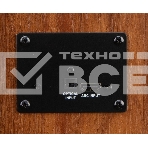 Колонка Eltronic 10