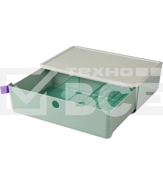 Короб для хранения Deli XDM31green 1 выдвижной ящик 250x220x125мм зеленый пластик