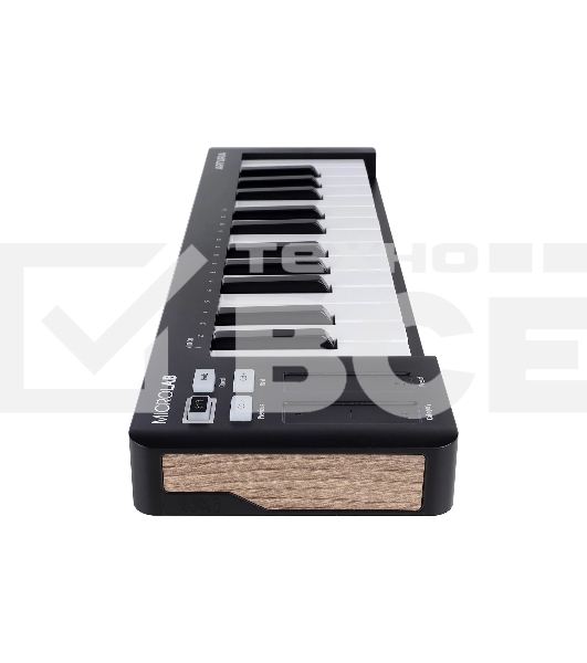 Клавиатура MIDI [231512] Arturia [MicroLab 3 Black] 25 клавиш, чувствительных к скорости нажатия, сенсорные полосы pitch и modulation, режим игры аккордами, разъем для подключения педали, type-c, ПО: Analog Lab Intro, Ableton Live Lite. Цвет - черный.