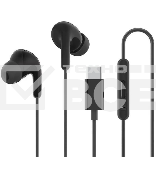 Наушники Xiaomi Type-C Earphones черный M2413E1