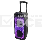 Колонка ELTRONIC 10