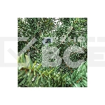 Ель искусственная Royal christmas Dover Promo Wrapped PVC — 210 см 521210, фото4