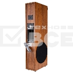 Колонка Eltronic 10