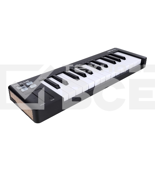 Клавиатура MIDI [231512] Arturia [MicroLab 3 Black] 25 клавиш, чувствительных к скорости нажатия, сенсорные полосы pitch и modulation, режим игры аккордами, разъем для подключения педали, type-c, ПО: Analog Lab Intro, Ableton Live Lite. Цвет - черный.