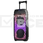 Колонка ELTRONIC 10