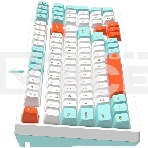 Клавиатура A4Tech Fstyler FS300 (FS300 PANDA SNORKLENING) проводная, USB, белый, фото9