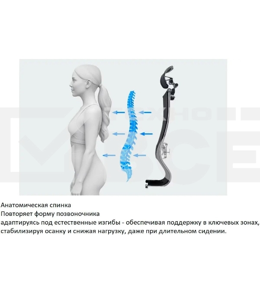 Кресло компьютерное ErgoLife Set 7/подл.131/осн.Synchro 052, черный 219.16.1.403 z316738281