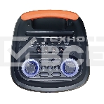 Колонка ELTRONIC 10