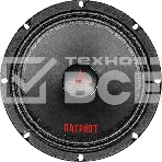 Акустическая система URAL ПАТРИОТ АС-ПТ200, фото 1