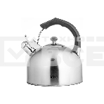 Чайник для плиты металлический LARA LR00-06 (матовый) 4.0 л, индукционное дно 0.3 мм, фото 1