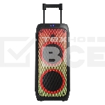 Колонка ELTRONIC 10