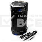 Портативная аудиосистема DIALOG AP-1030, фото 1