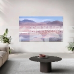 Телевизор TCL 43