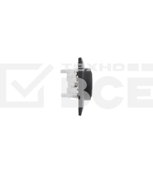 Розетка 2-м IEK SKANDY SK-R07G графит SK-R24-16-K53-F 16А с заземл. защ. штроки в сборе