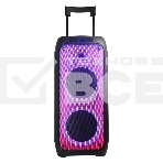 Колонка ELTRONIC 10